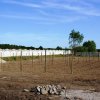 jjo 1